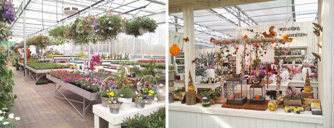 Tuincentrum Verheijen in de buurt van Wanssum beste tuincentrum dagje uit