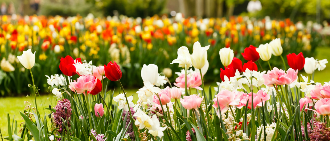 'Frühjahr kann beginnen!'