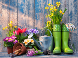 Gartenwerkzeuge
