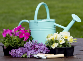 Gartenwerkzeuge